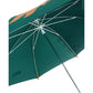 Fire Dino Big Face Umbrella for Kids, 5Years-10Years - Little Surprise Box