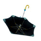 Newborn Dino Canopy Umbrella for Kids, 5 Years - 8Years - Little Surprise Box