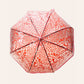 Self Print Pink Transparent Umbrella for Kids and Teens, 8Years - 15Years - Little Surprise Box