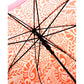 Self Print Pink Transparent Umbrella for Kids and Teens, 8Years - 15Years - Little Surprise Box
