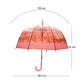 Self Print Pink Transparent Umbrella for Kids and Teens, 8Years - 15Years - Little Surprise Box