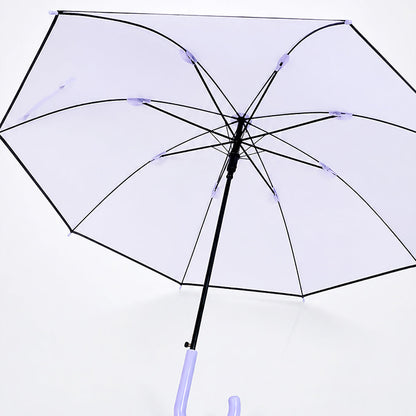 Purple Solid Black border Umbrella for Adults