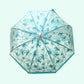 Self Print Turquoise Transparent Umbrella for Kids and Teens, 8Years - 15Years - Little Surprise Box