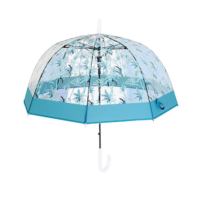 Self Print Turquoise Transparent Umbrella for Kids and Teens, 8Years - 15Years - Little Surprise Box