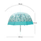 Self Print Turquoise Transparent Umbrella for Kids and Teens, 8Years - 15Years - Little Surprise Box