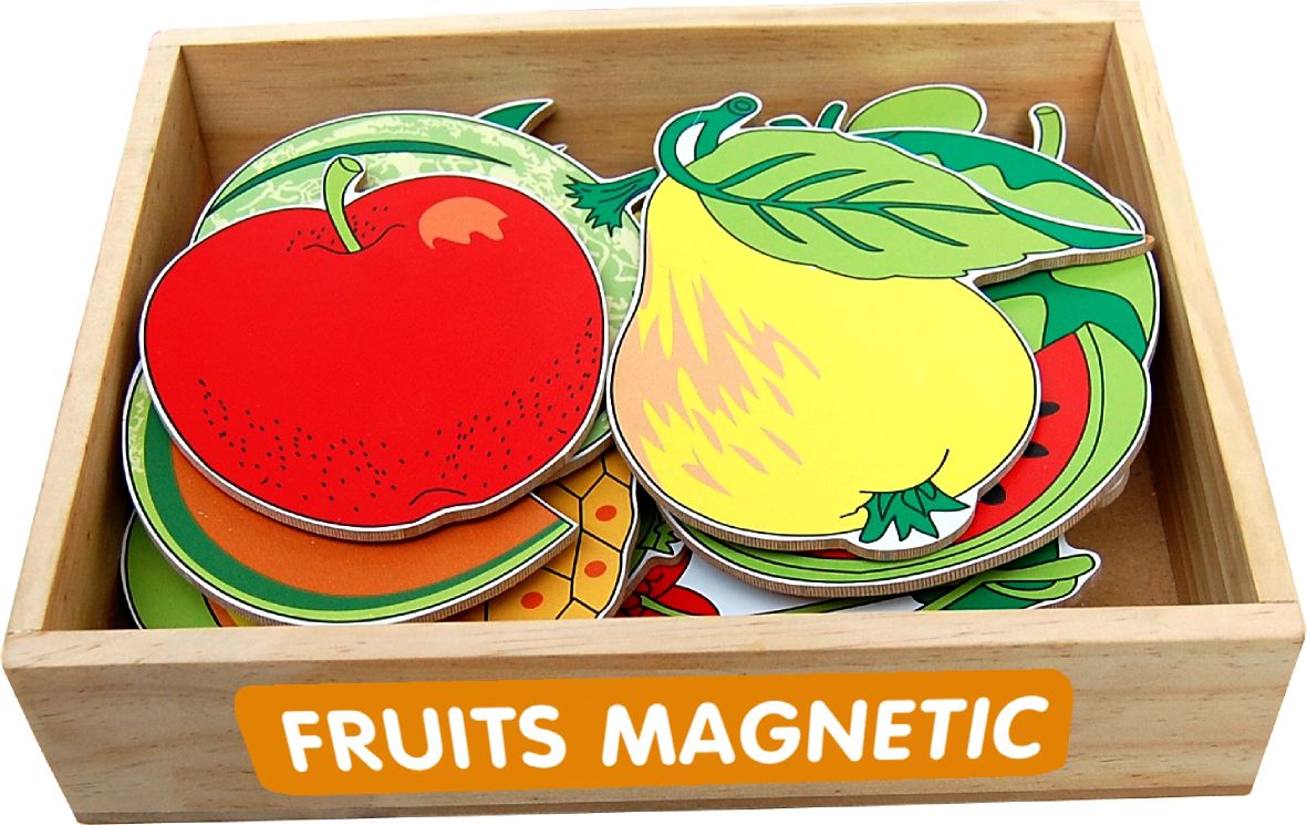 Magnetic Fruits Learning kit