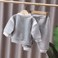 Baby Boy Tracksuit With Teddy Print
