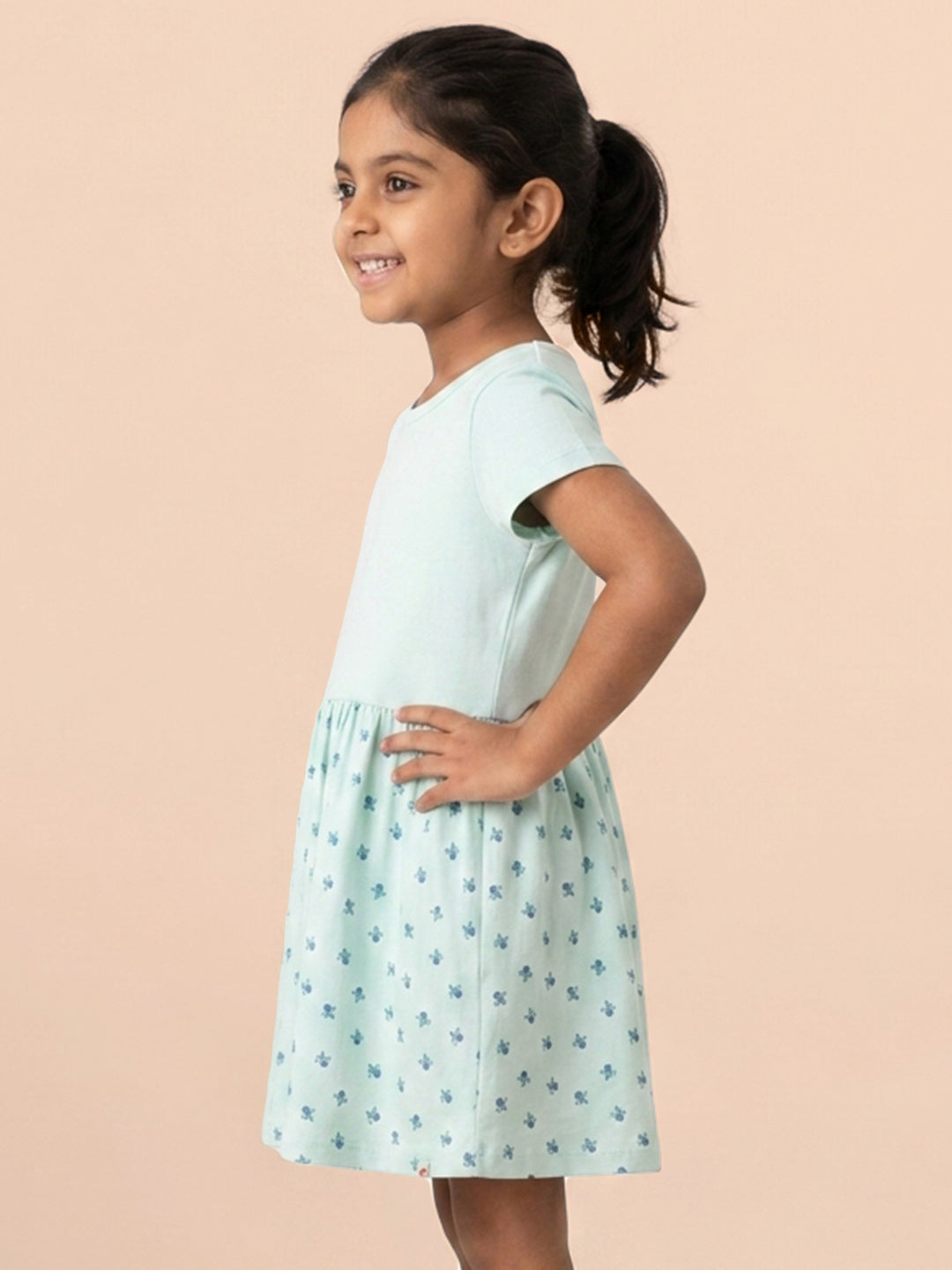 Fruity Fun Super Soft Dress for Girls (Blue)