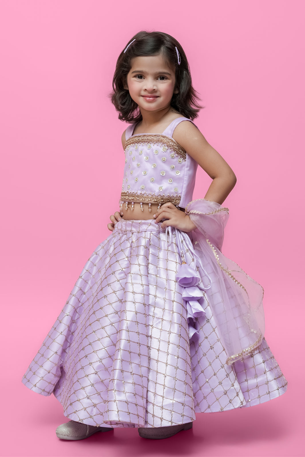Organza Embellished Lehenga