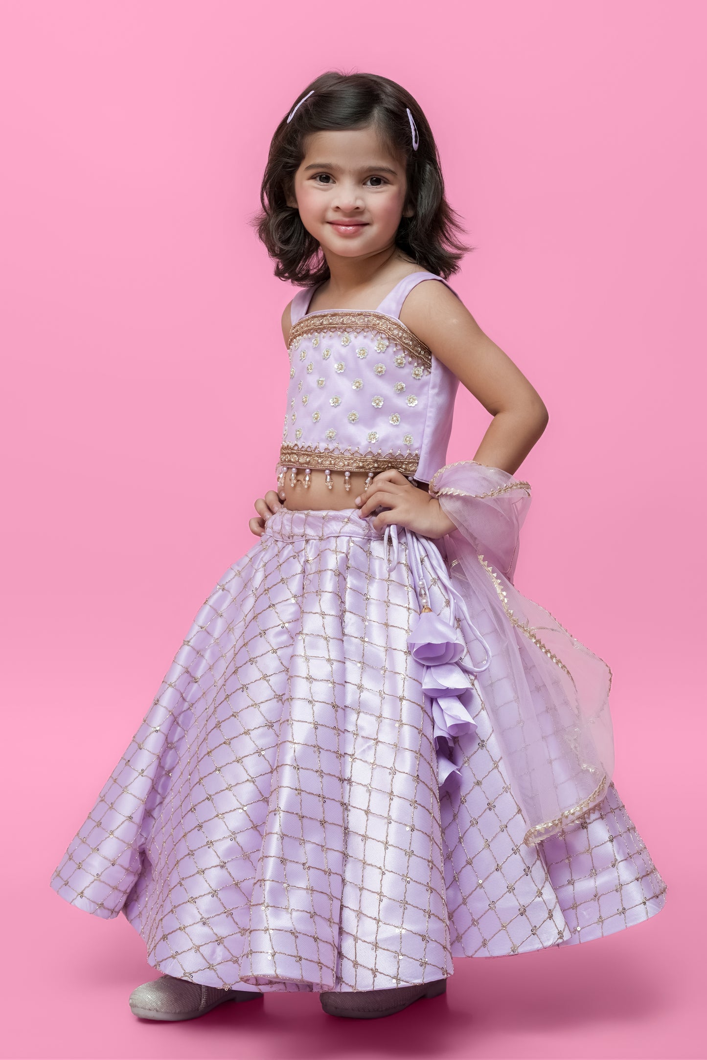 Organza Embellished Lehenga