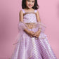Organza Embellished Lehenga