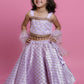 Organza Embellished Lehenga