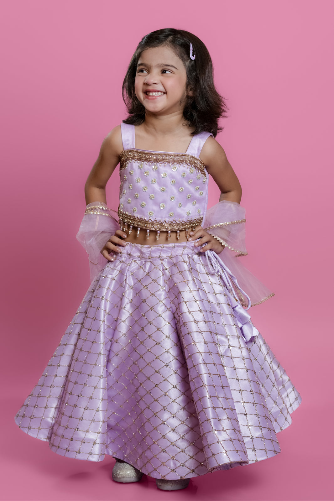 Organza Embellished Lehenga