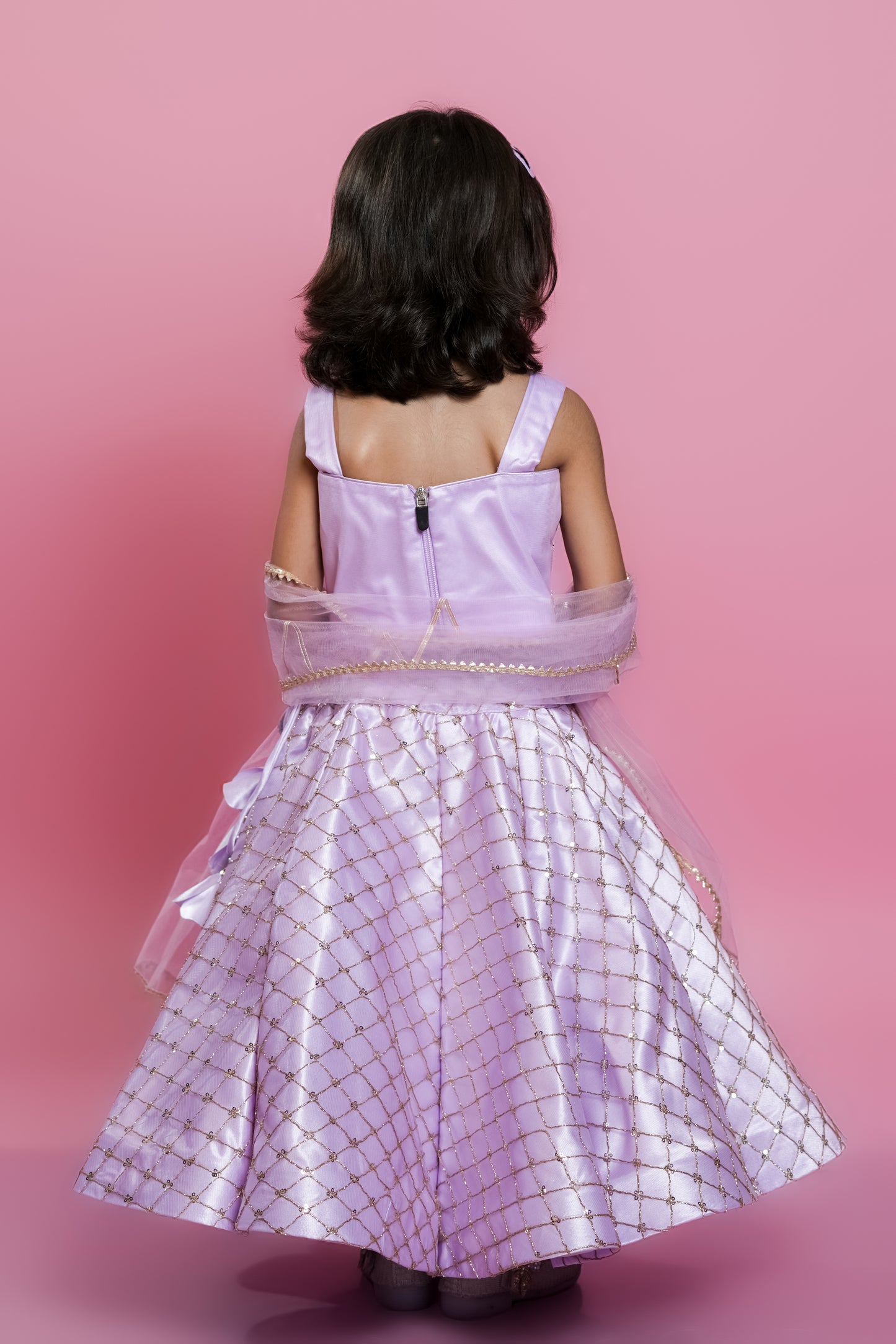 Organza Embellished Lehenga
