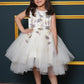 Net Flared Dress With Hand Embroidery
