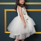 Net Flared Dress With Hand Embroidery