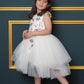 Net Flared Dress With Hand Embroidery