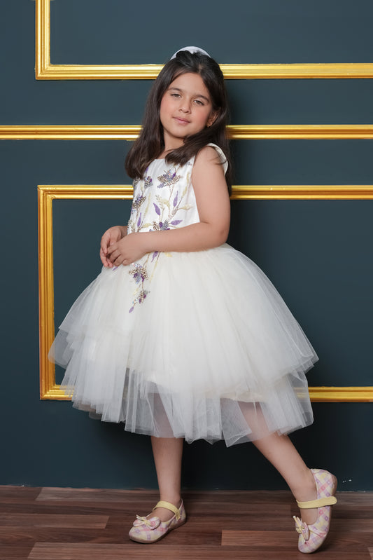 Net Flared Dress With Hand Embroidery