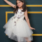Net Flared Dress With Hand Embroidery