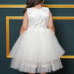Net Flared Dress With Hand Embroidery