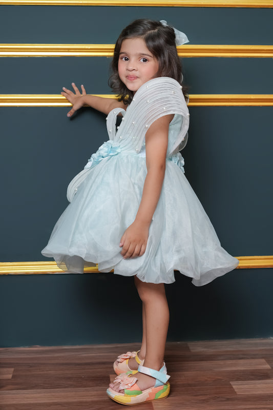 Tissue Dress Embellished With Handmade Flowers And Beads