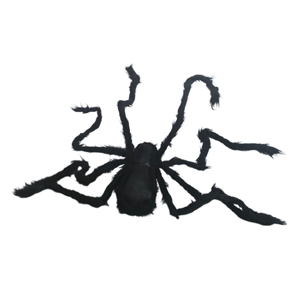 Giant Furry Black Spider with Red Eyes