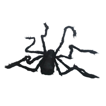 Giant Furry Black Spider with Red Eyes