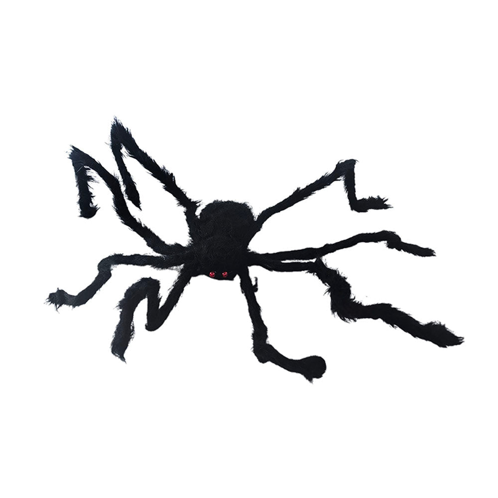 Giant Furry Black Spider with Red Eyes