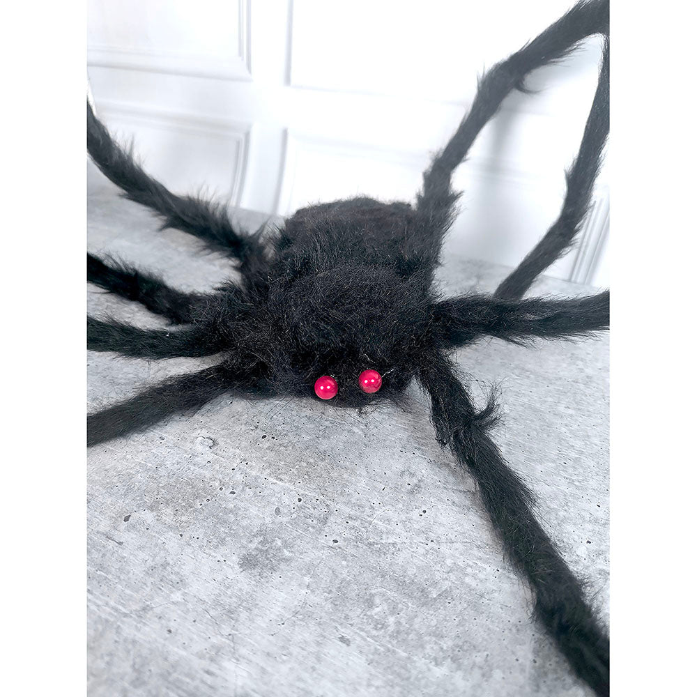 Giant Furry Black Spider with Red Eyes