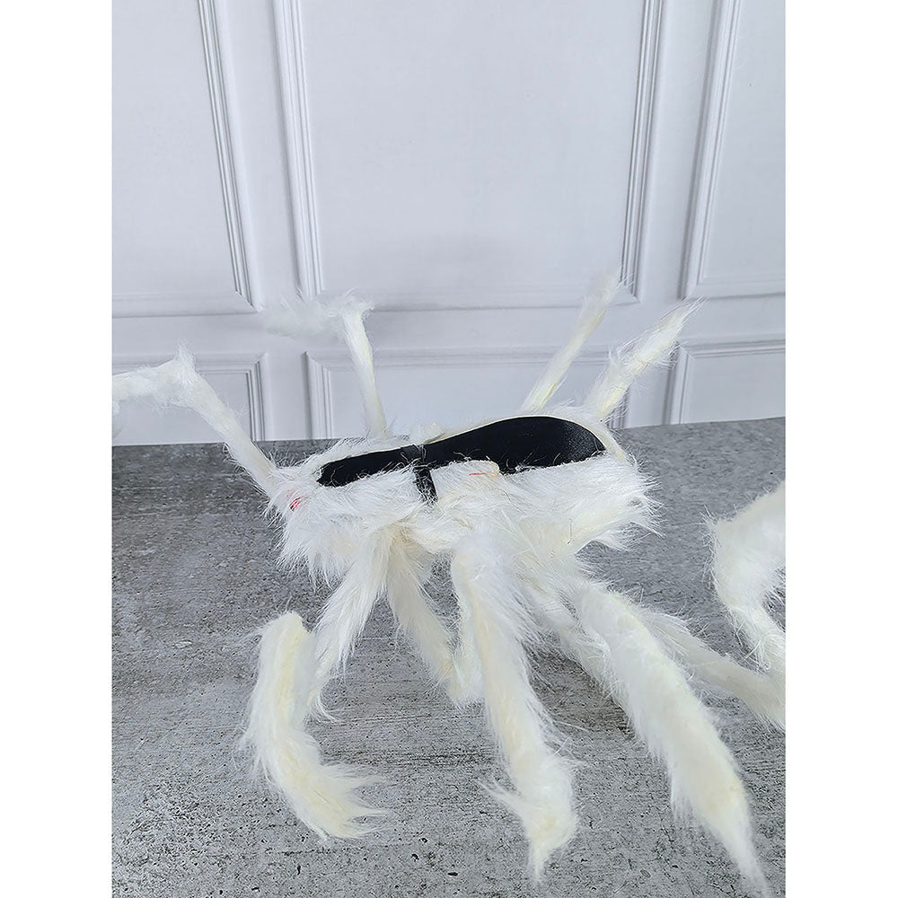 Giant Furry White Spider with Red Eyes