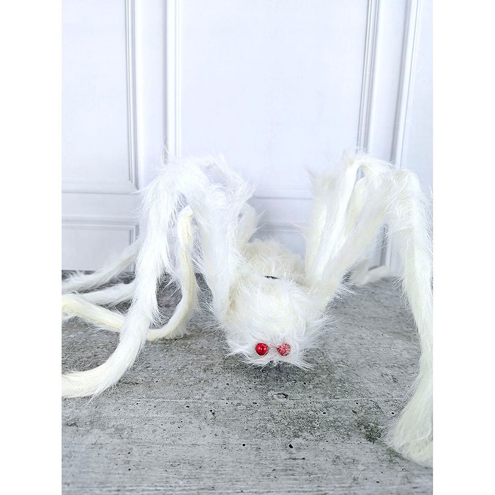 Giant Furry White Spider with Red Eyes