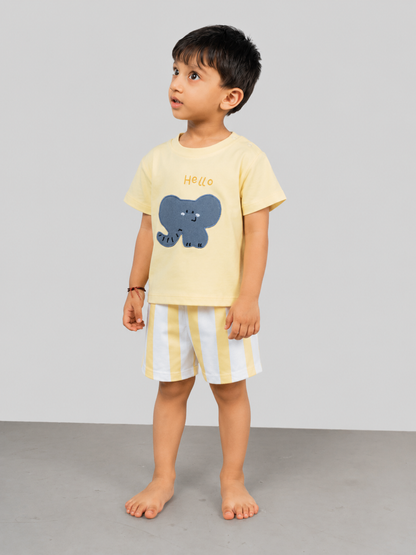 Tiny Elephant set